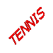 Casella di testo: TENNIS