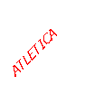 Casella di testo: ATLETICA